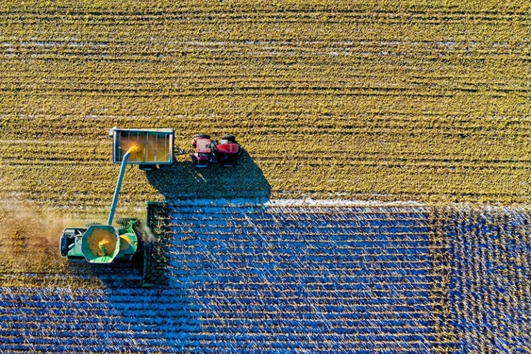 Landwirtschaft